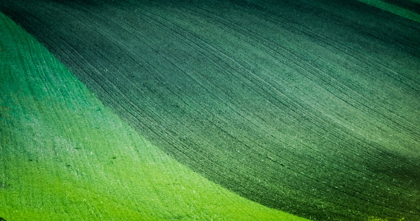 美丽的摩拉维亚田野图片下载