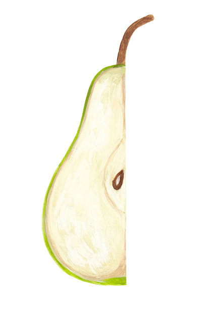 四分之一的梨垂直切片-逼真的手绘和隔离在白色上图片下载