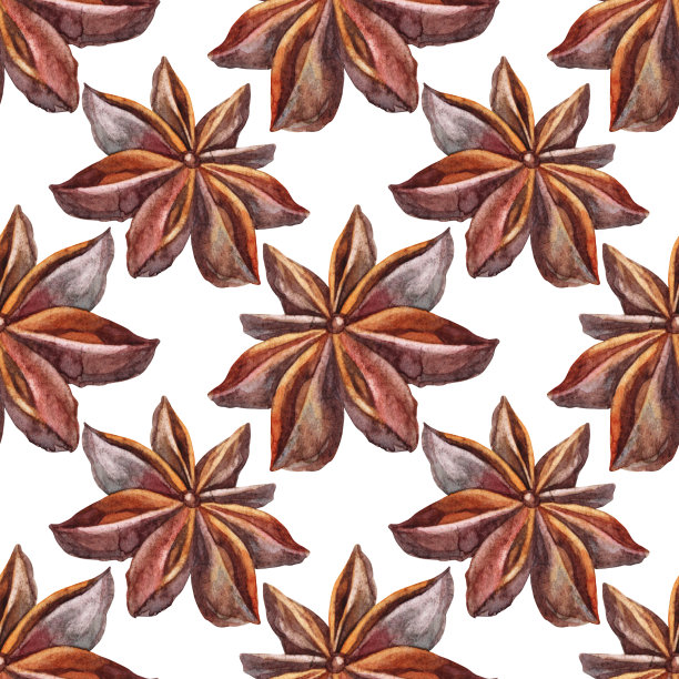 无缝图案与水彩巴达在白色背景。手绘调味品八角甜点或饮料，烹饪书厨房装饰。香味棕色圣诞食品。壁纸包装的芬芳艺术图片下载