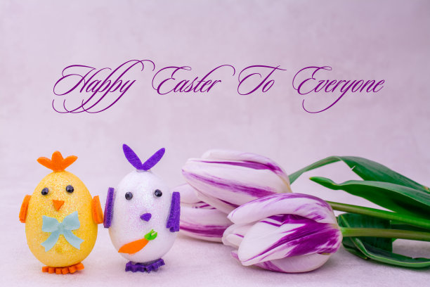 aster鸡蛋图片下载