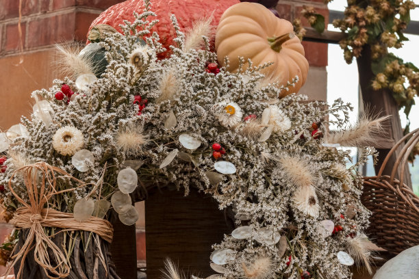 五颜六色的南瓜，南瓜和葫芦图片下载