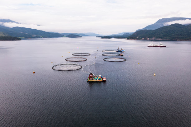 鲑鱼养殖图片下载