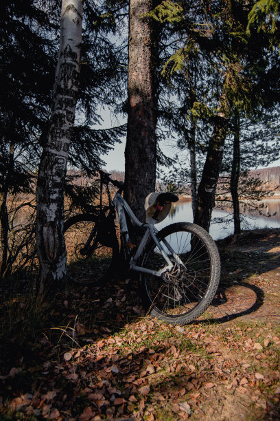 秋天的森林- MTB图片下载