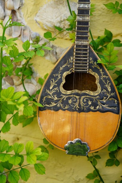 Bouzouki在墙上图片下载