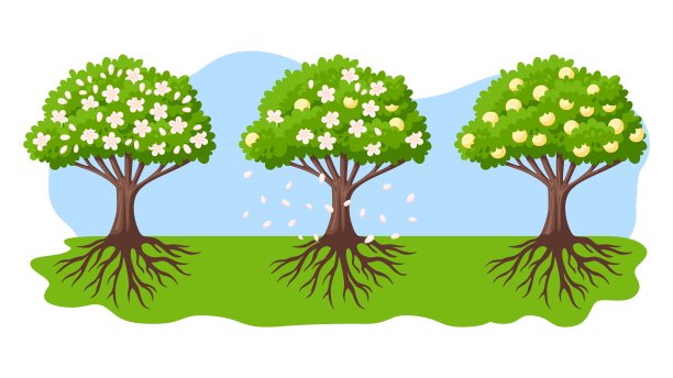 桃树的开花和生长过程。绿色的卡通树，花朵，粉红色的花瓣和成熟的桃子。农业，水果农业。矢春樱花园图片下载