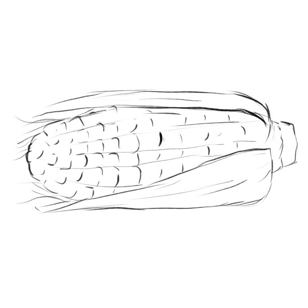 玉米头、素描、线条艺术插画图片下载