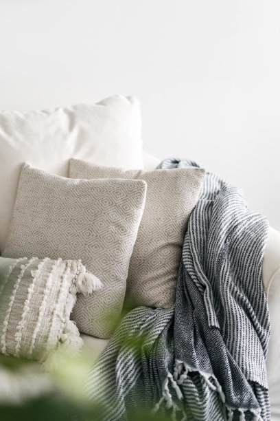 沙发上白色枕套的装饰靠垫图片下载