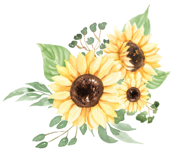向日葵花束剪纸，水彩草地花朵印刷，乡村野花花束插图，婚礼邀请，婴儿淋浴，标志图片下载