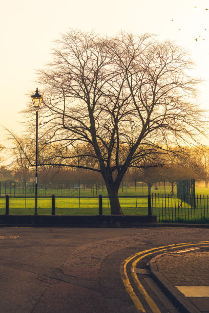 英国剑桥市中心空荡荡的街道图片下载