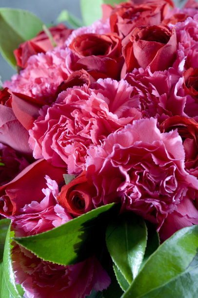 自然之美。图片下载