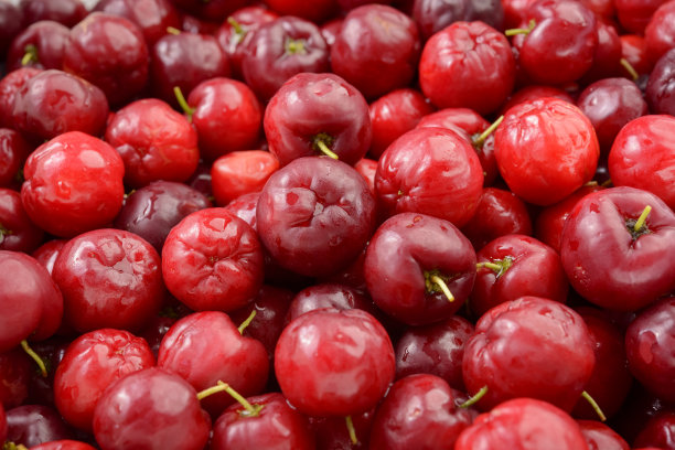 新鲜有机樱桃针叶特写形成背景图案。图片下载