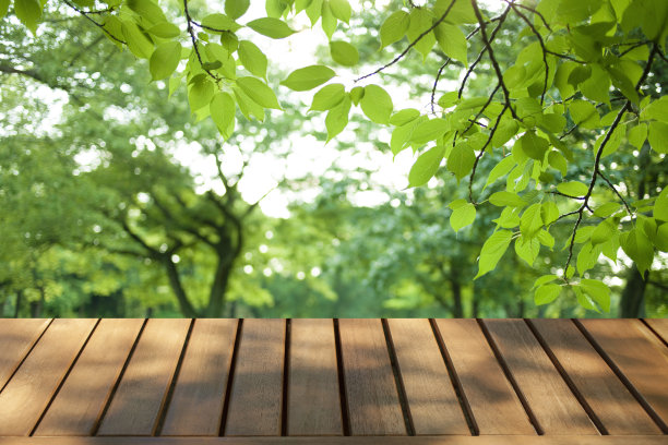 木桌子与公园bokeh背景图片下载