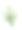 冬季植物水彩集花边绿红浆果图片下载