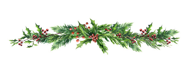 冬季植物水彩集花边绿红浆果图片下载