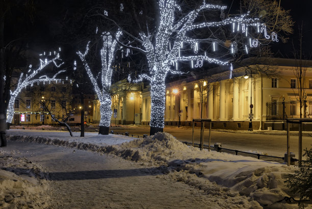 圣彼得堡街道上的新年照明。图片下载