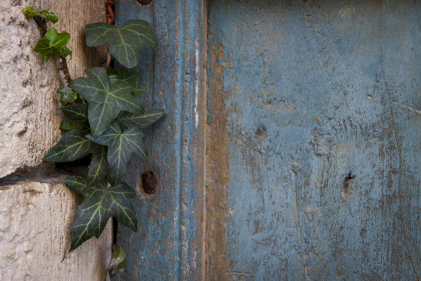 Herbeys, Isère, Rhône-Alpes, France, 20 11 2022 macro pictures, close up, of natural textures for graphic designers, wood, metal, stones图片下载