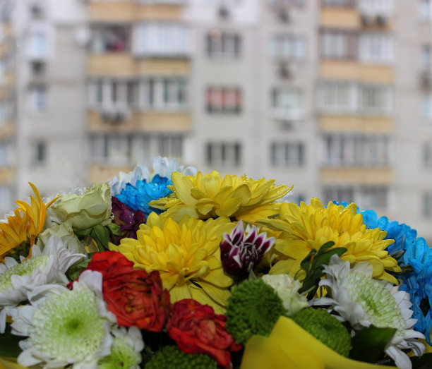 窗边盛开的鲜花，背景是高层公寓楼图片下载