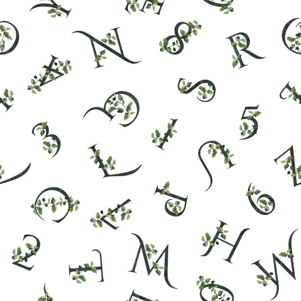 白色的花字母和数字图片下载