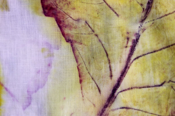 生态打印柚木红紫黄叶的纹理和图案。图片下载