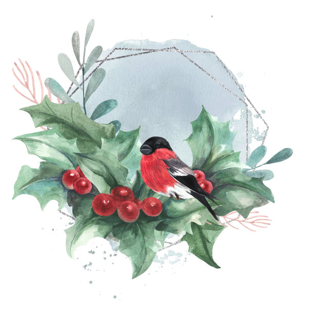 圣诞树叶上有一只红胸的鸟。浆果枝，雪花。银框架。水彩插图。隔离图片下载