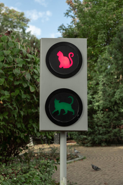 交通灯上有红猫和绿猫图片下载