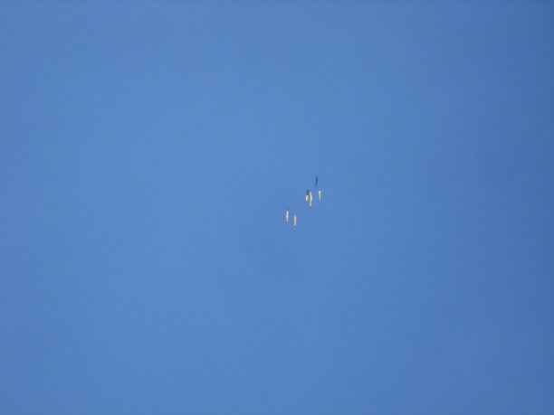 天空和黄丝带图片下载