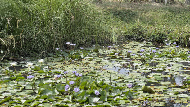的风景图片下载