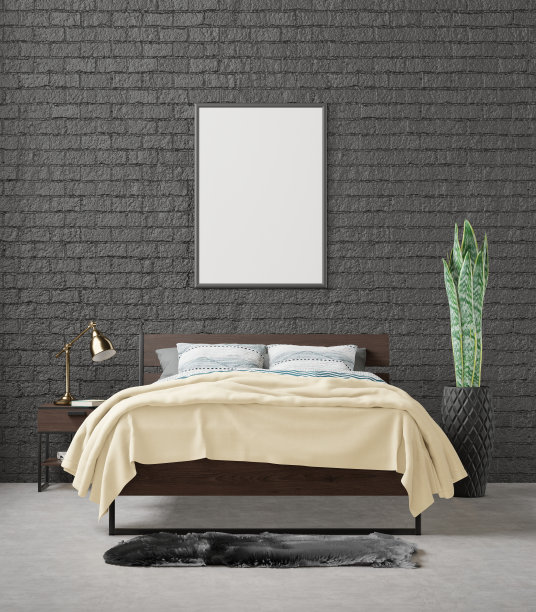 3D现代室内卧室与模型相框图片下载