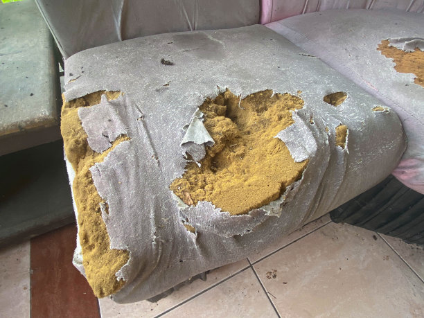 沙发又旧又坏。图片下载