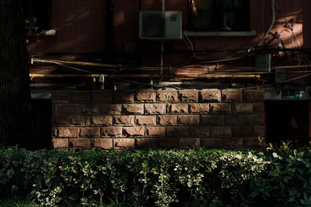 矮矮的绿色灌木丛后面砖墙砌成的建筑物的一面图片下载