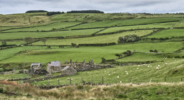 爱尔兰农舍的废墟图片下载