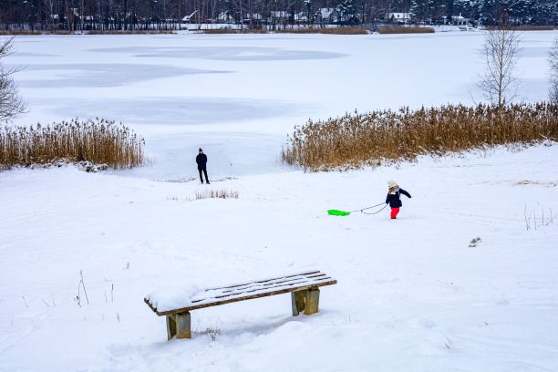 孩子们和它的父母在公园的雪地上玩雪橇图片下载