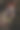 黑色背景的圣诞花环中的马图片下载