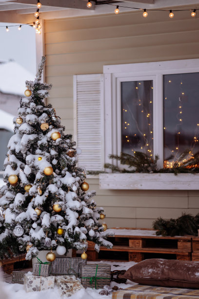 白雪覆盖的圣诞树上装饰着玩具图片下载