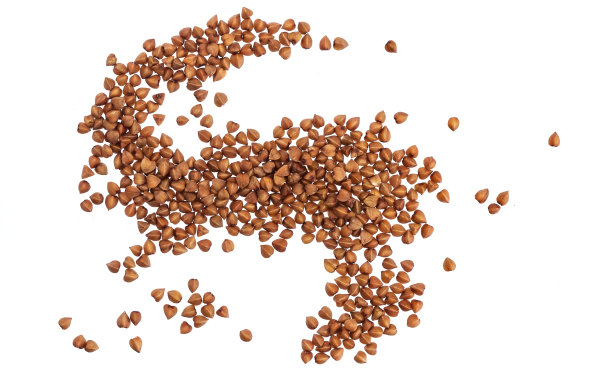 特写荞麦粒孤立在白色背景。俯视图图片下载