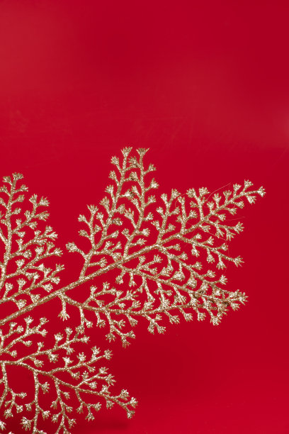 背景为红色圣诞卡与金色圣诞树画肖像下面图片下载