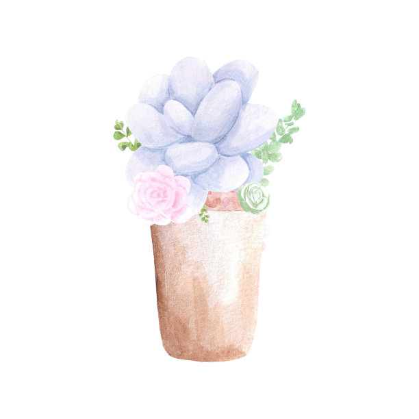 白色背景的花盆里多汁的植物。手绘水彩套装。植物精致的插图。剪贴簿设计元素。排版海报，卡片，标签，横幅设计。图片下载