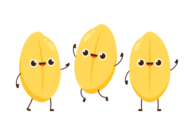 米字设计。白色背景上的水稻矢量。水稻向量。图片下载