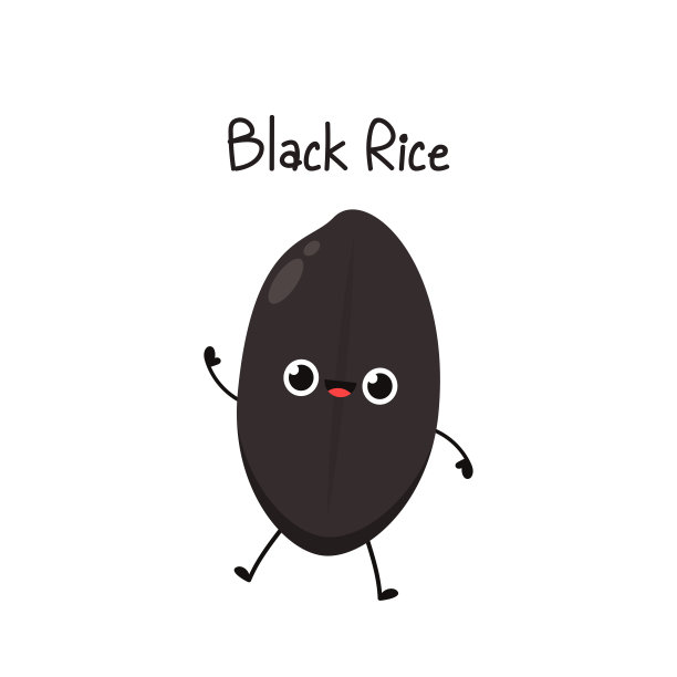 黑米人物设计。白色背景上的水稻矢量。黑米种子。图片下载