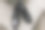 一双正式的黑色绅士鞋放在楼梯的角落，负空间适合概念印花。图片下载