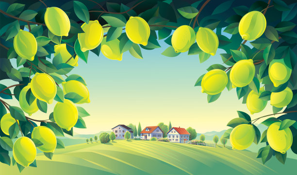 乡村风光，有柠檬树的树枝和村庄。素材图片