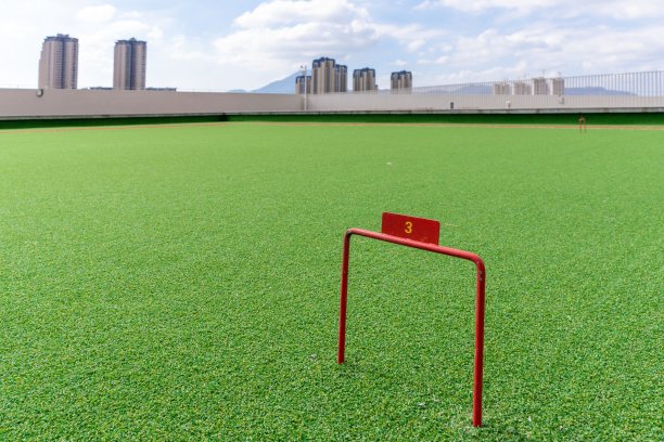 城楼铁门外的城市天际线图片下载