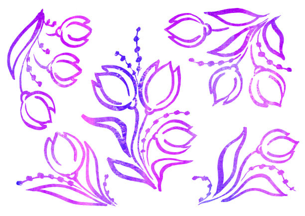 水彩画的花卉元素在白色背景上的线艺术风格。水彩画紫色，粉色，紫色和紫丁香郁金香和叶子图片下载