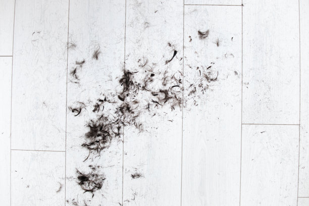 剪短的头发铺在白色层压板上，铺在镶花地板上。剪头发图片下载