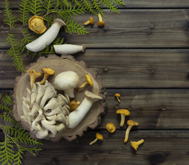 木头背景上有很多蘑菇。图片下载