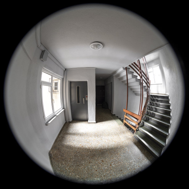 从猫眼里看图片下载