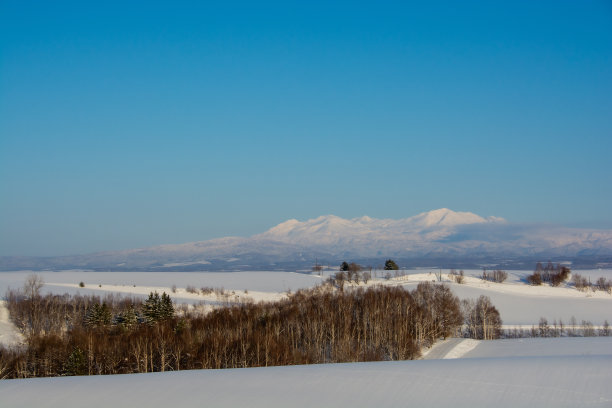 晴朗的冬日里的山丘和雪山图片下载