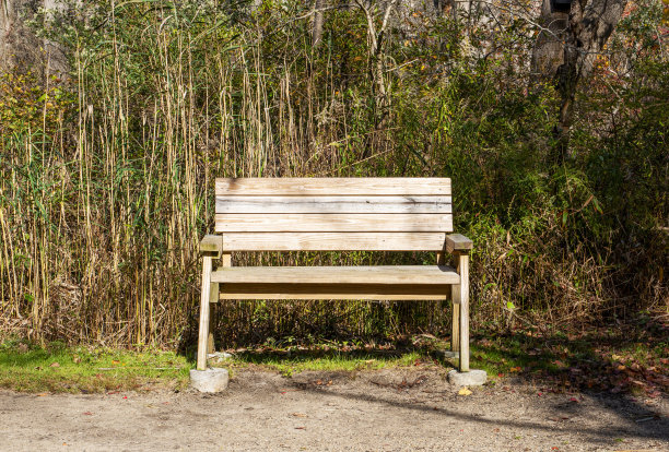 公园散步小径上的木制公园长凳图片下载