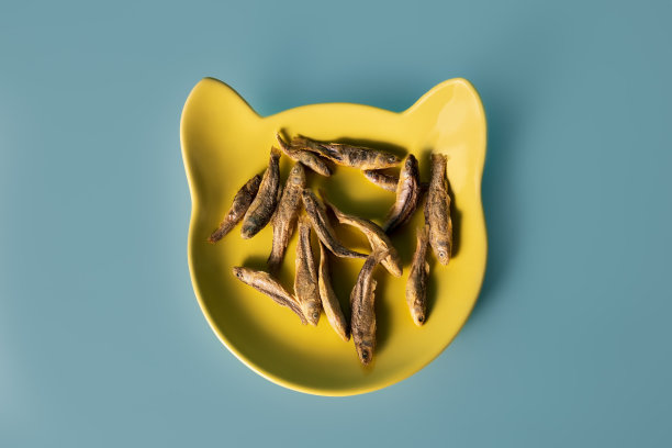 鱼干猫粮图片下载