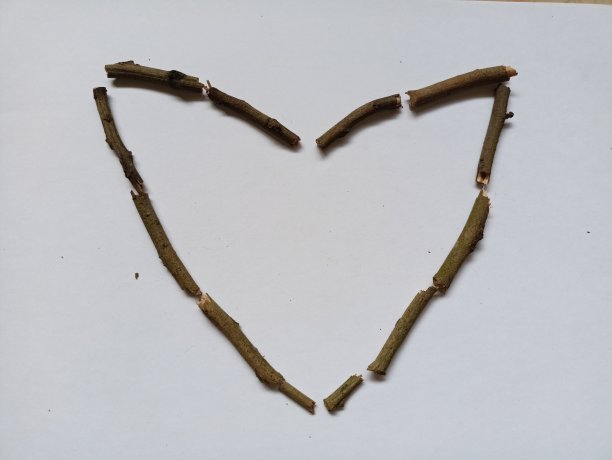 来自树枝的爱图片下载